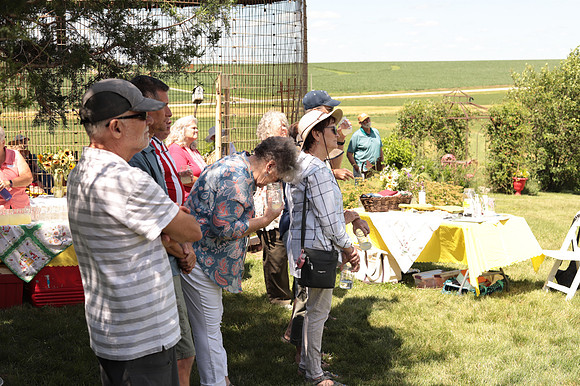 IMG_7552