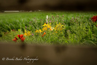 IMG_2755